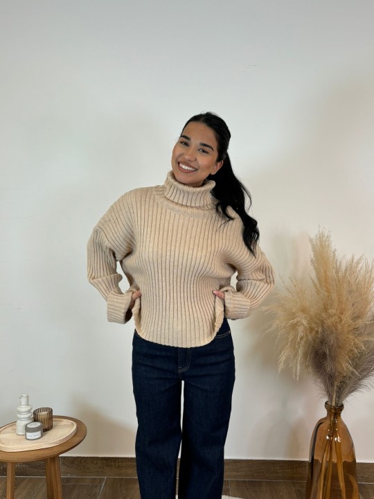 Pull col roulé Aya