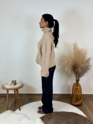 Pull col roulé Aya