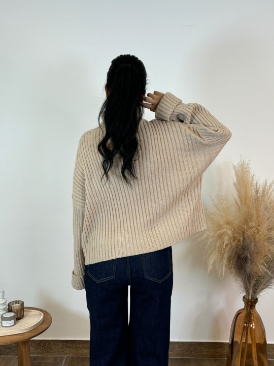 Pull col roulé Aya